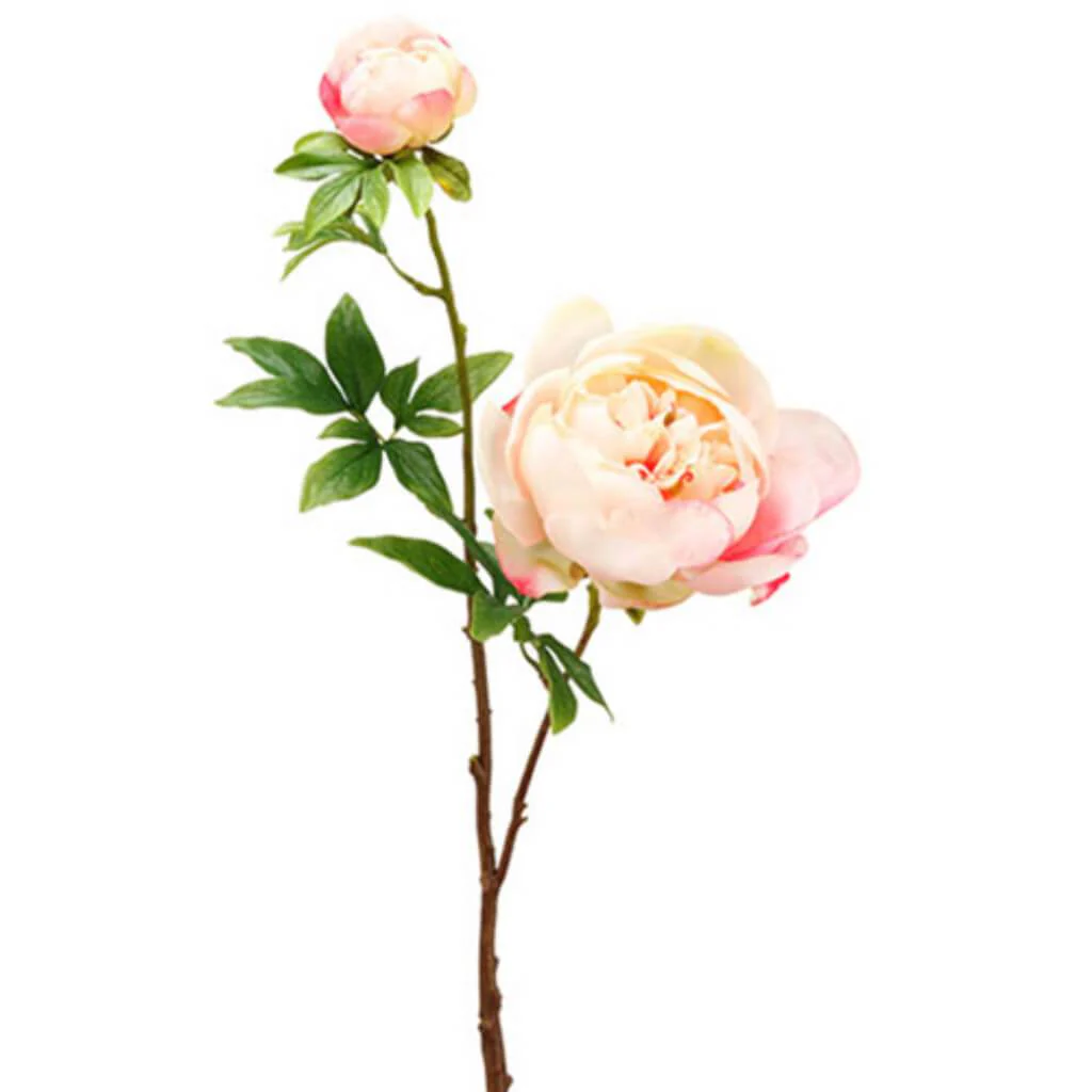 Peony Spray With Bud 27.5" WHITE PINK