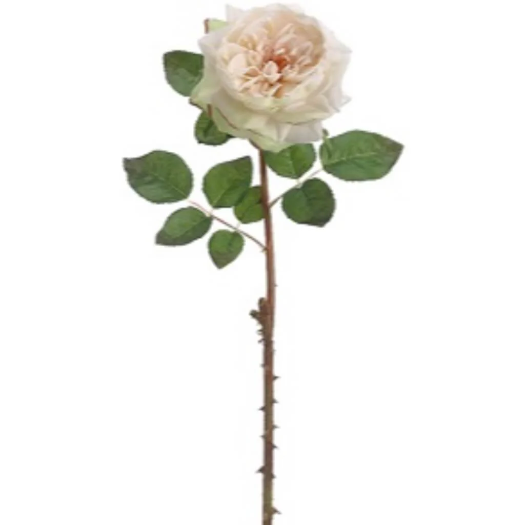 English Rose Spray 20" Vanilla