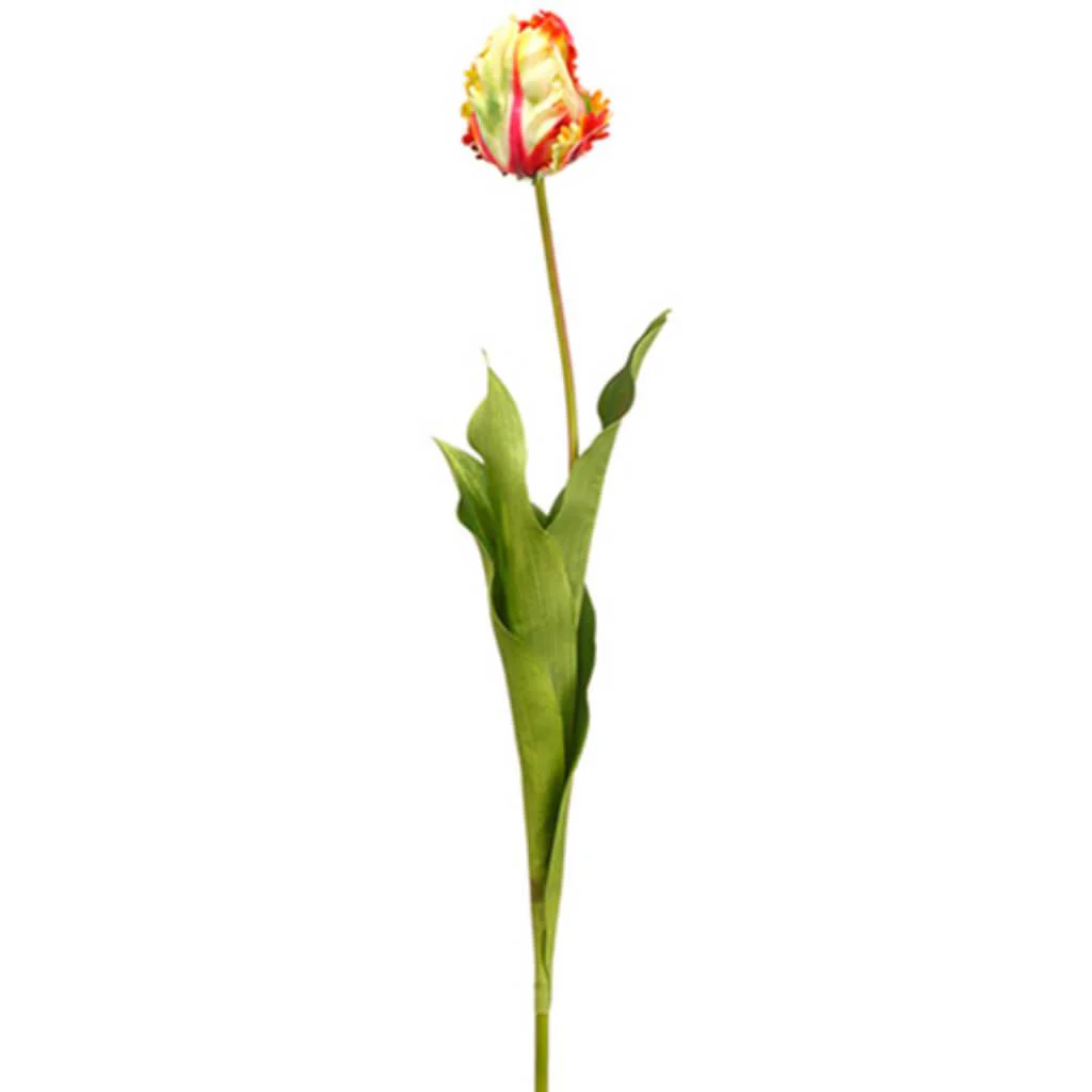 Parrot Tulip Bud Spray 26.5" CORAL RED