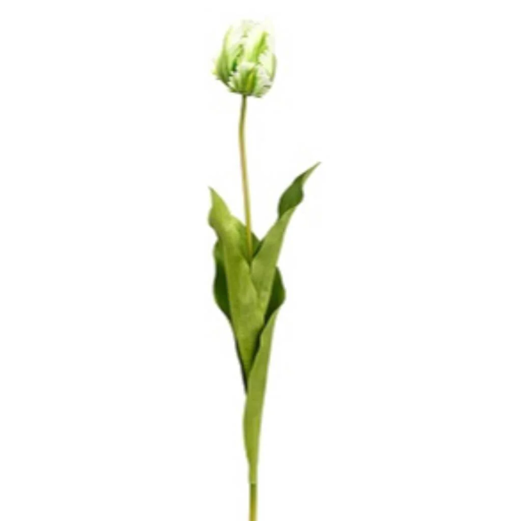 Parrot Tulip Bud Spray 26.5" White Green
