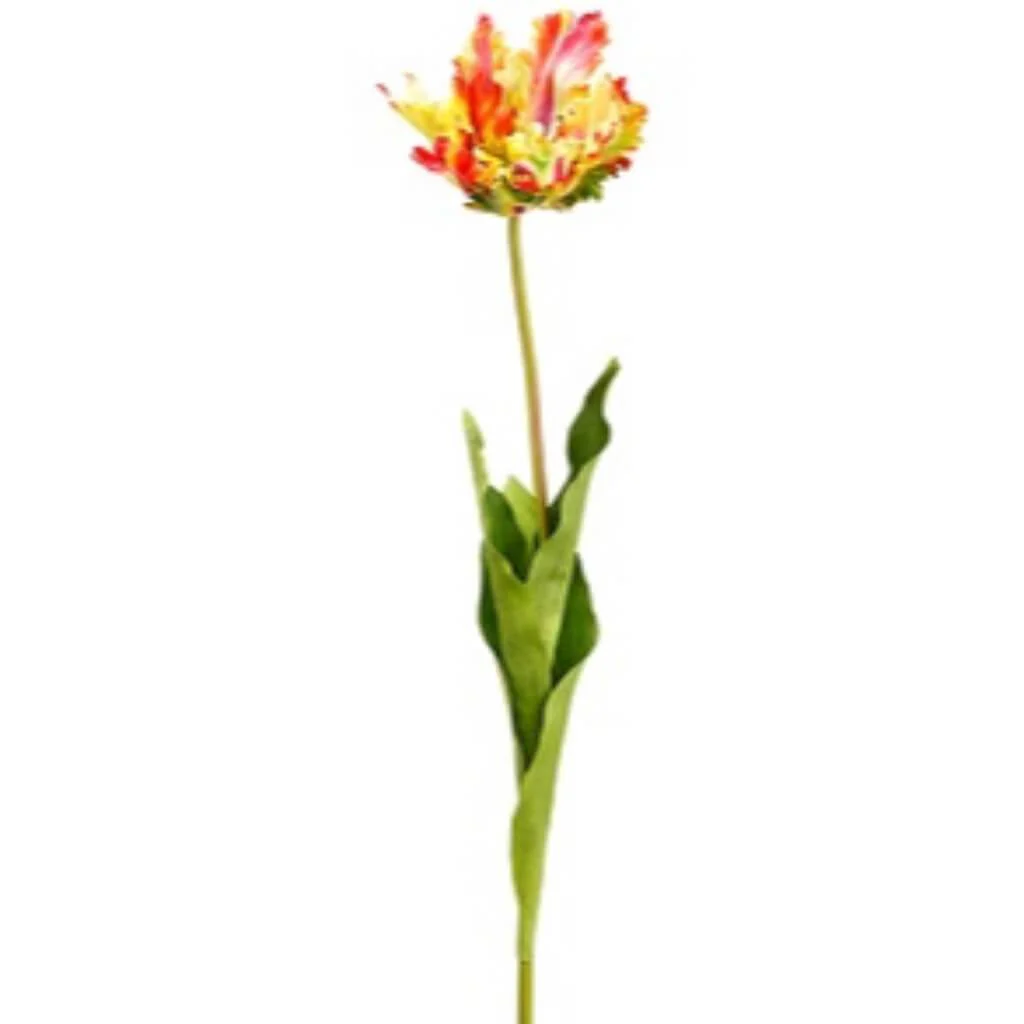 Open Parrot Tulip Spray 27" CORAL RED