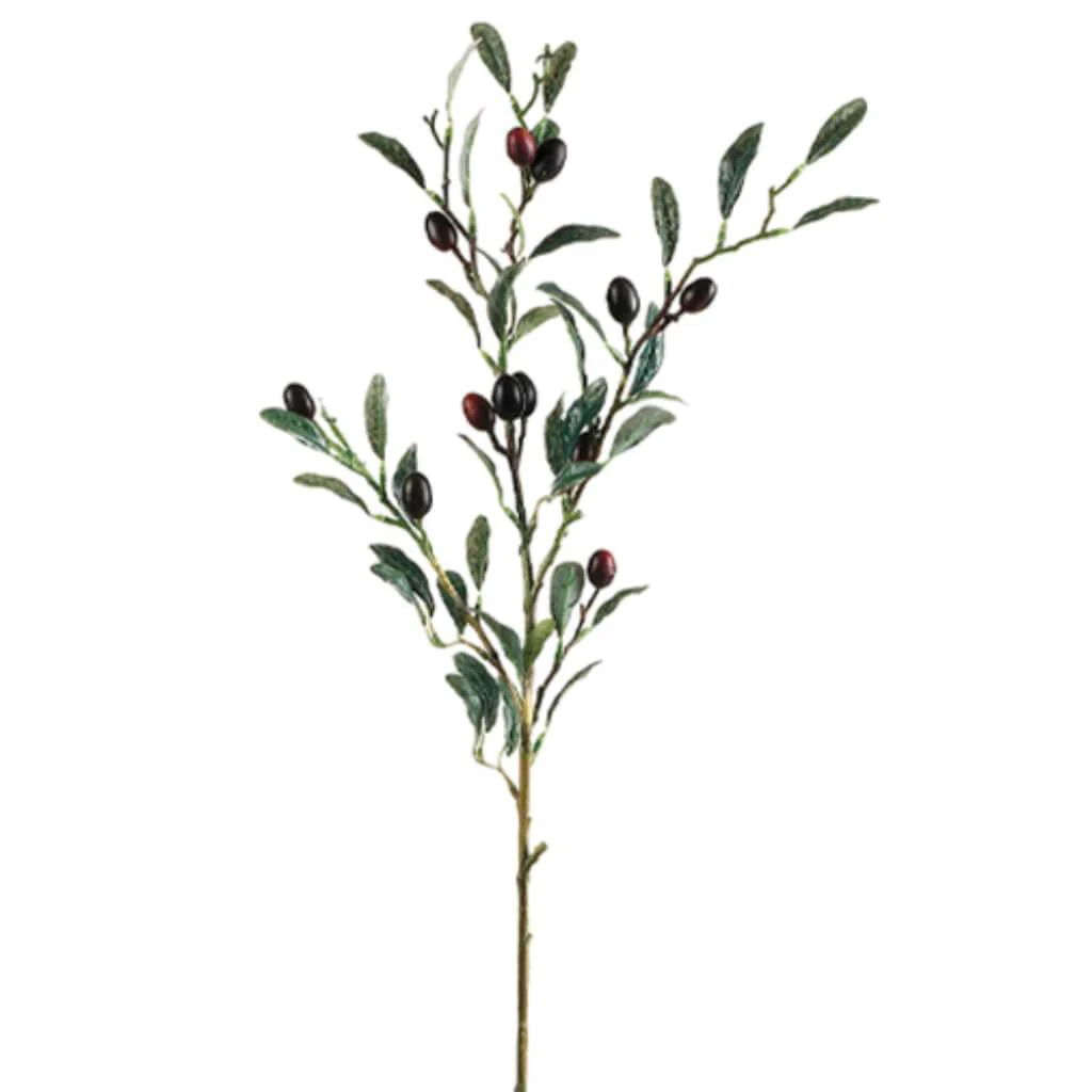Olive Spray 30" Burgundy Black