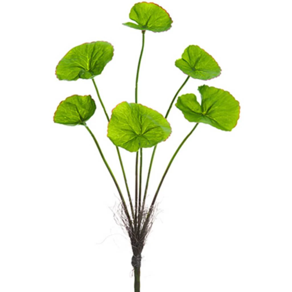 Lotus Leaf Bush 10" Gr