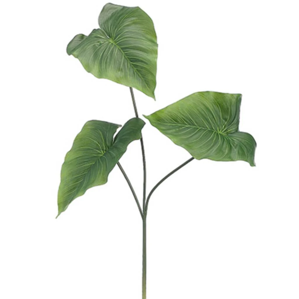 Anthurium Spray  24in Green