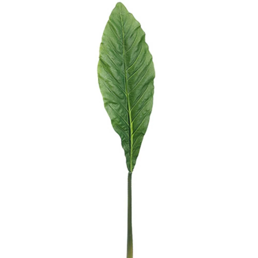Cana Leaf Stem X1 49" Gr