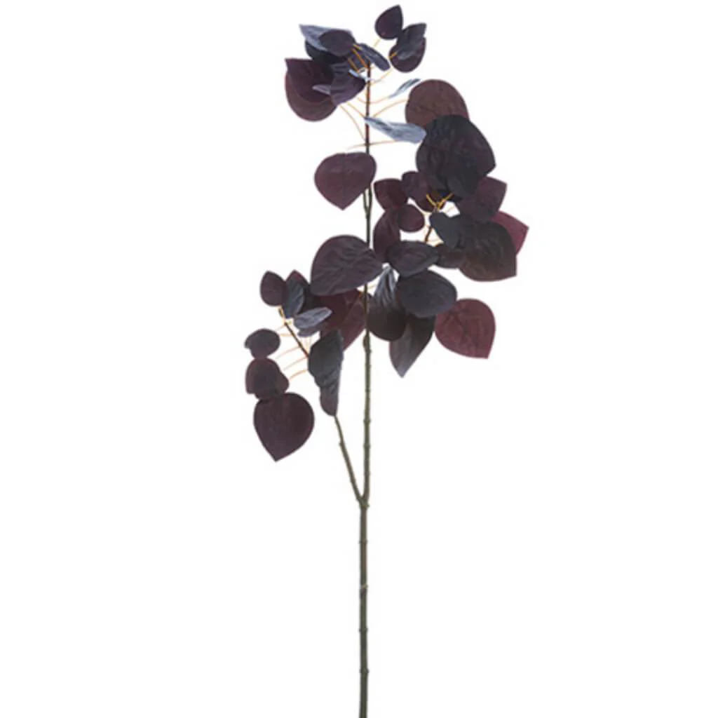 Cotinus Spray X2 34" Burgundy