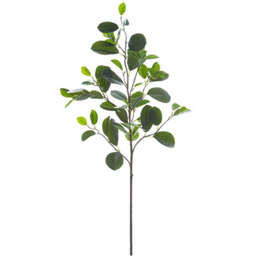 Citrus Leaf Spray 37" Green