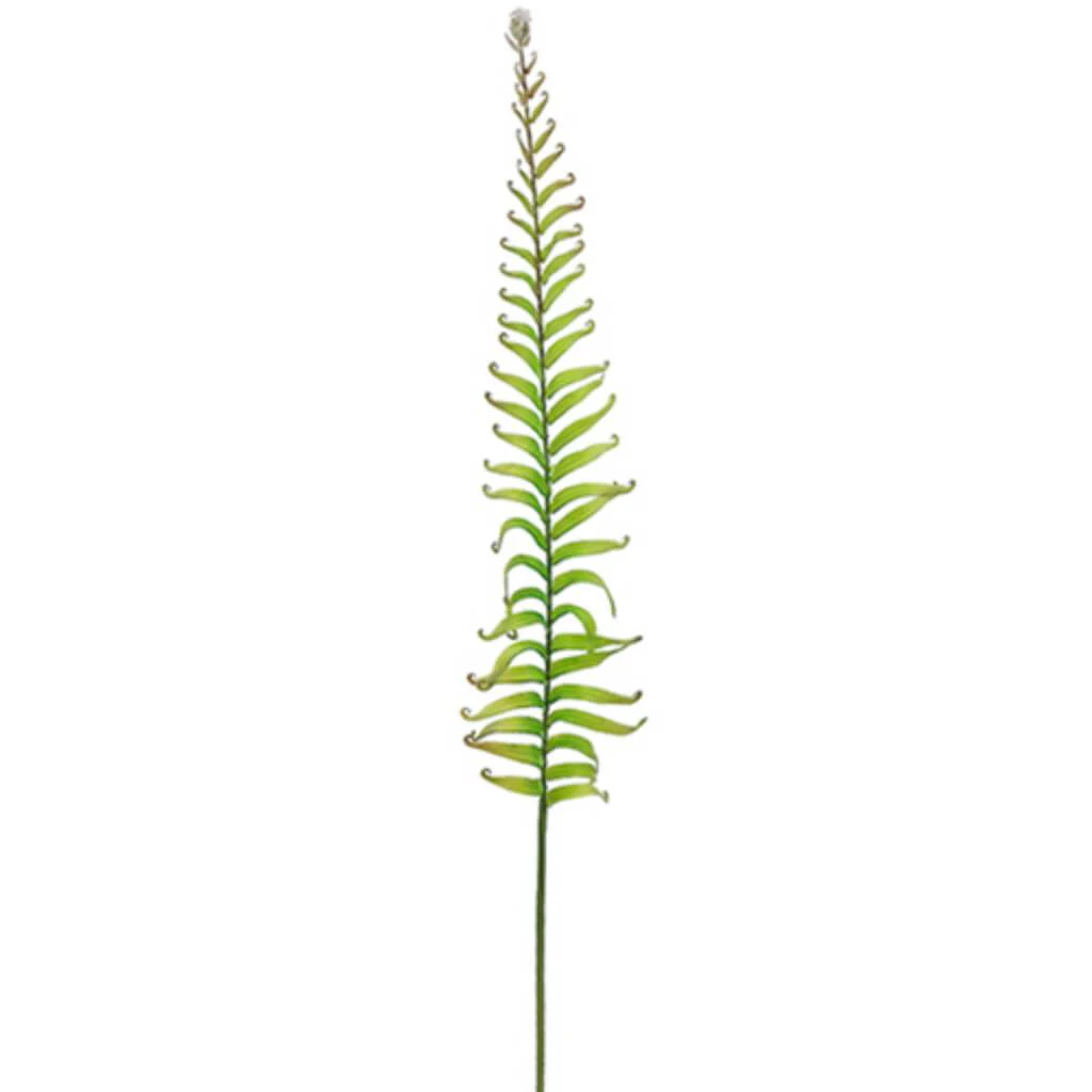 Soft Pe Rolling Fern Spray 38"