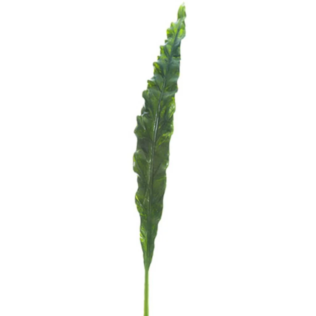 Bird'S Nest Fern Spray 41" Green