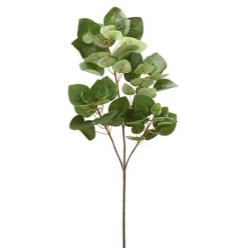 Laurel Spray X3 37" Green