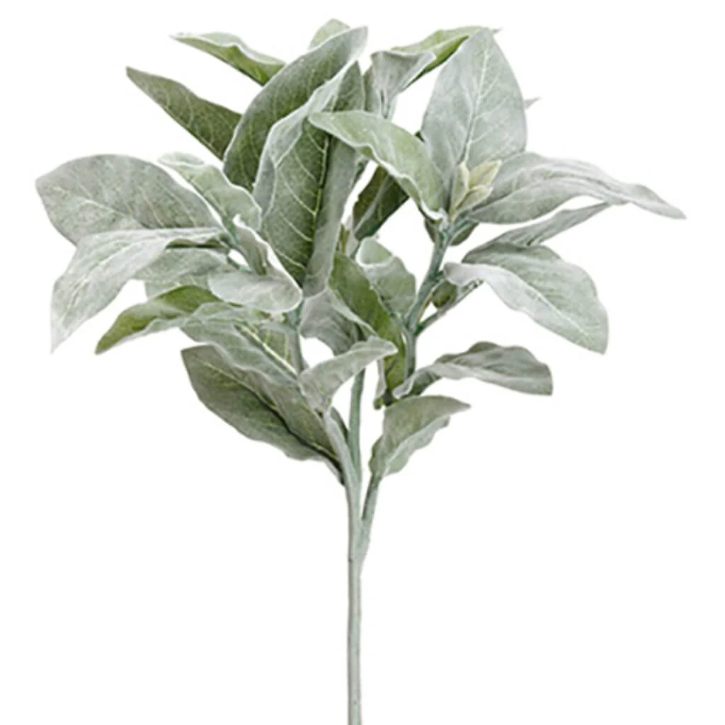 Lamb'S Ear Spray 16" Green Gray