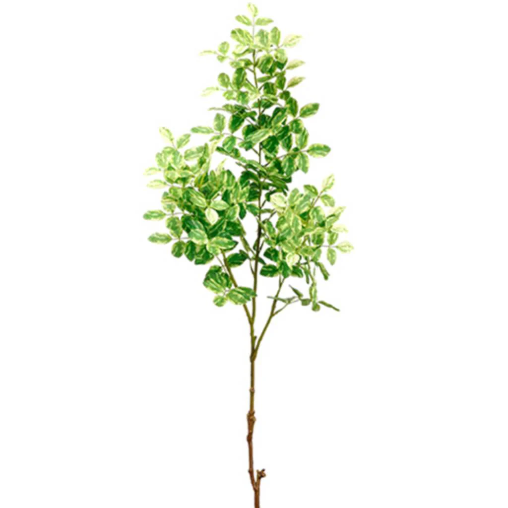 Locust Tree Branch Green/Cream, 31in