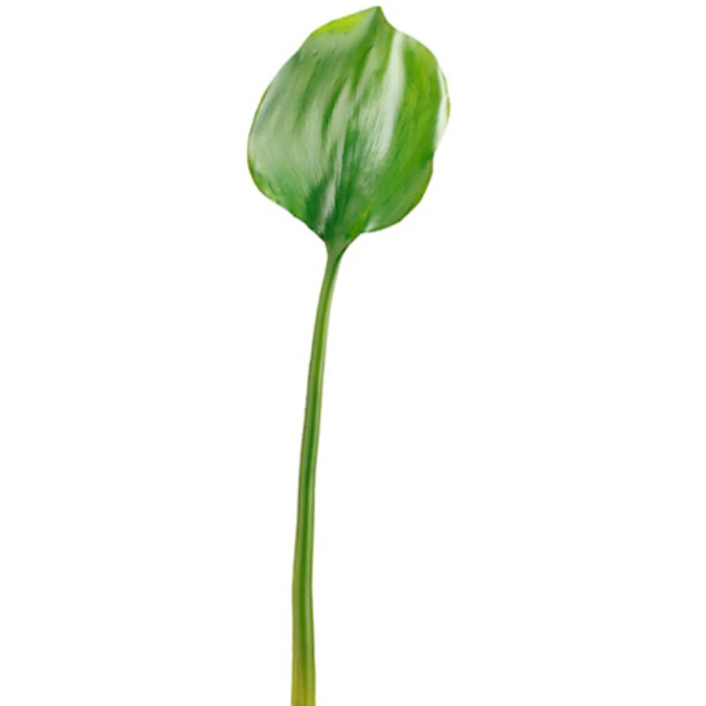 Water Lily Leaf Spray 25.5" Green