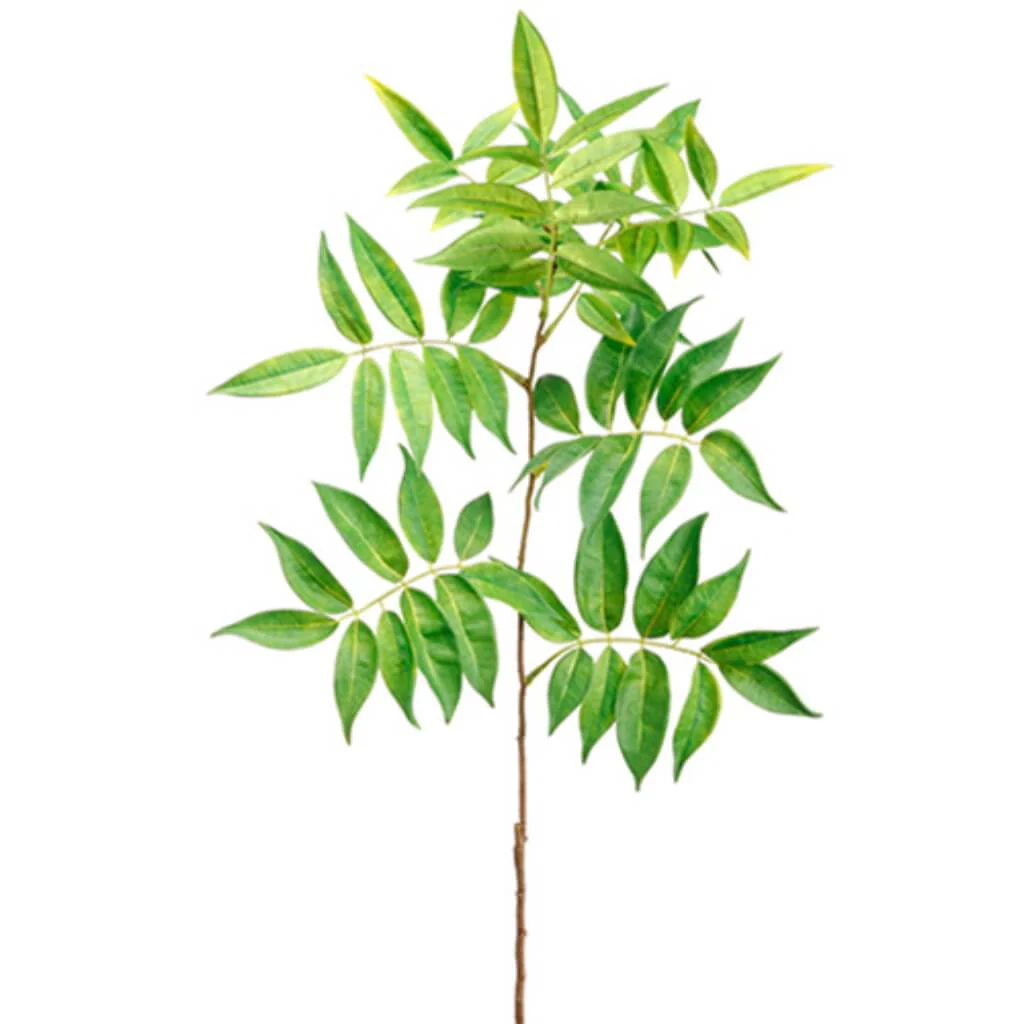 Peperberry Leaf Spray 36" Green