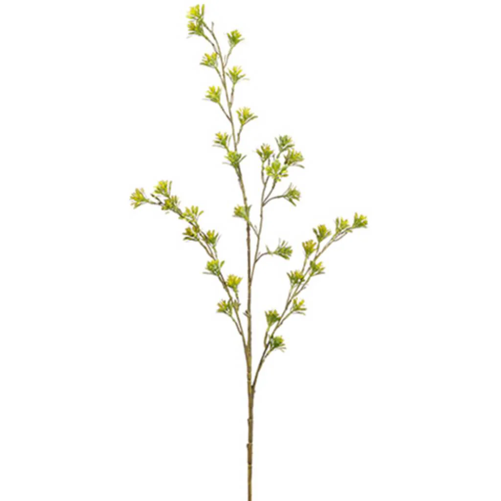 Sedum Spray 41.5" Green