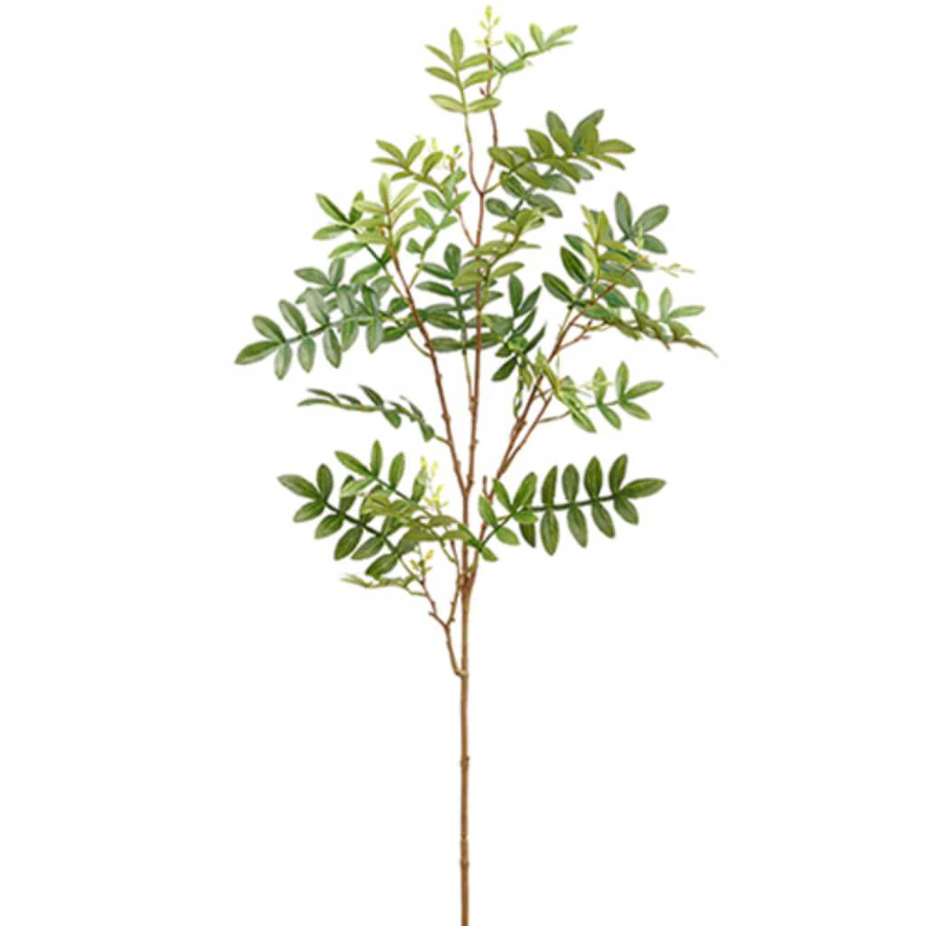 Sorbus Leaf Spray 43" Green
