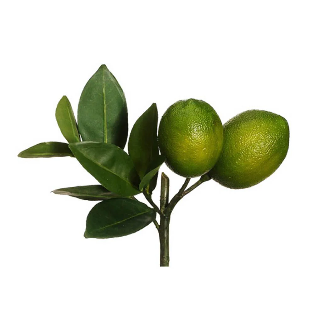 Lime Pick 8.5" Gr
