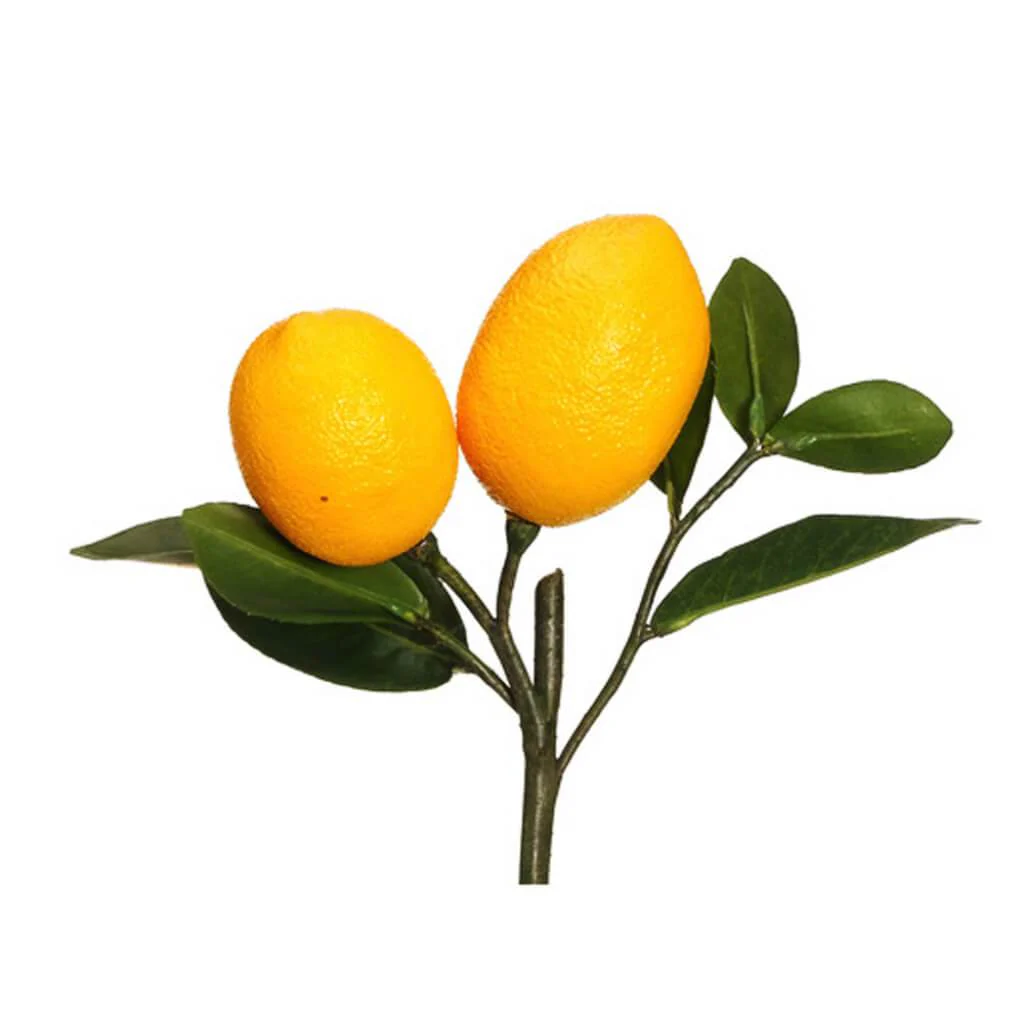 Lemon Pick 8.5" Ye