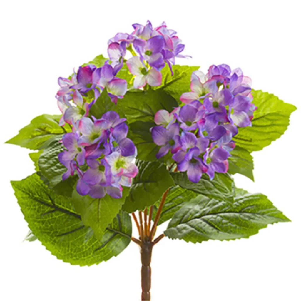 Hydrangea Bush 10" Lv
