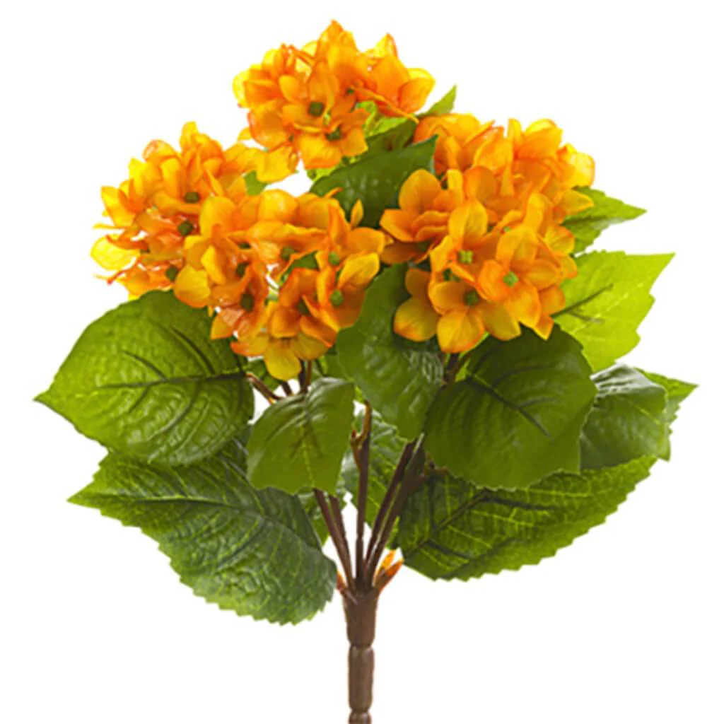 Hydrangea Bush 10" Or/Ye