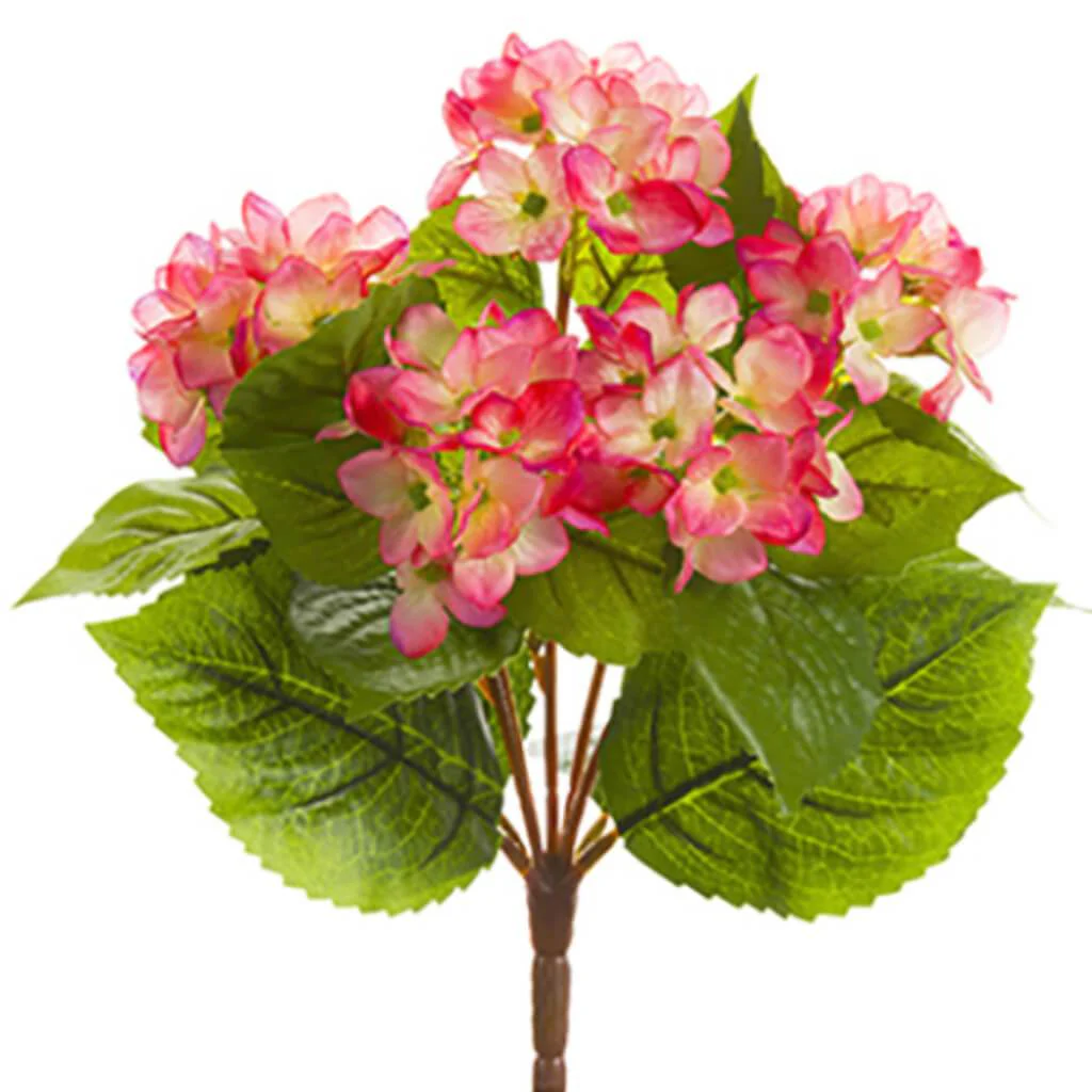 Hydrangea Bush 10" Pk