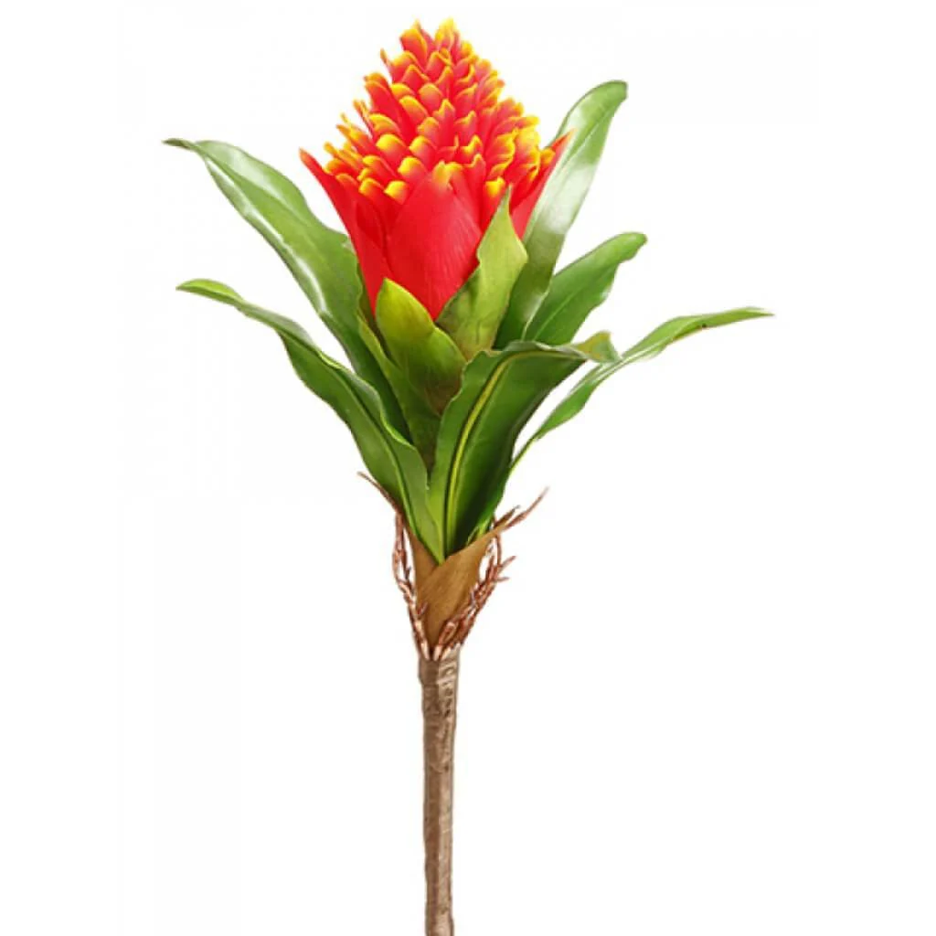 Bromeliad Spray 12" Flame