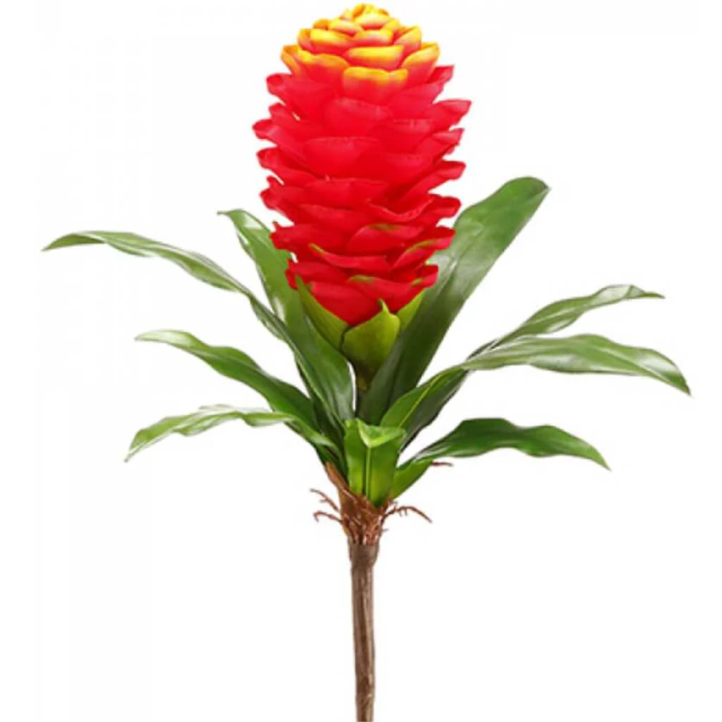 Ginger Spray 15" Flame Orange