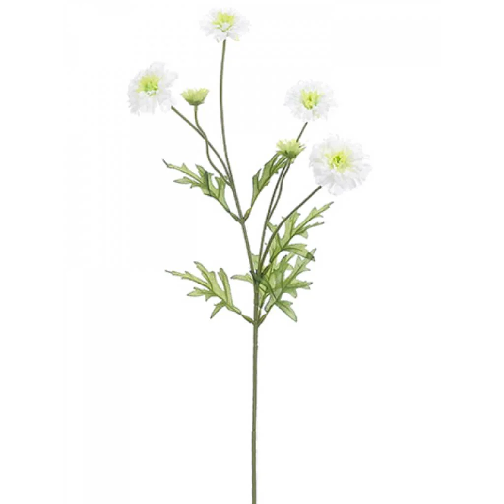 Marigold Spray 25.5" White