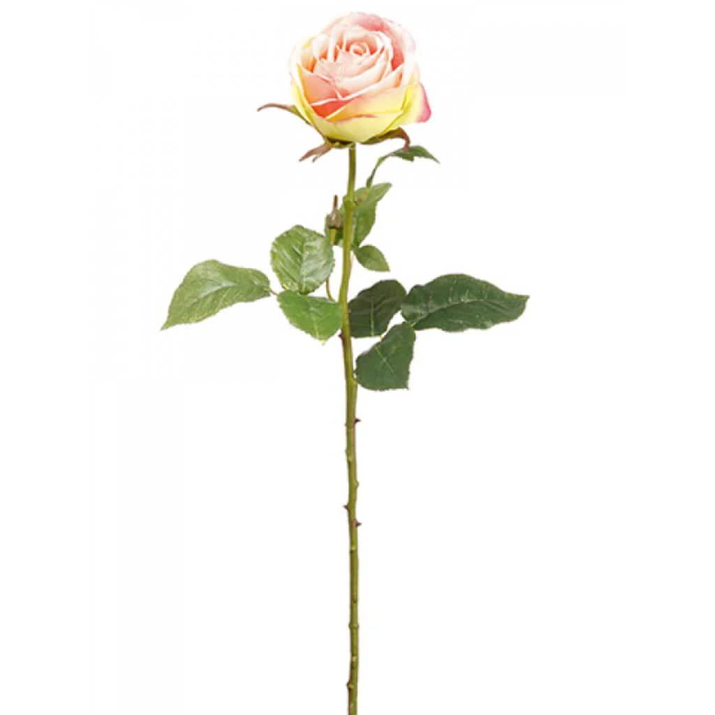 Rose Spray 27" Peach