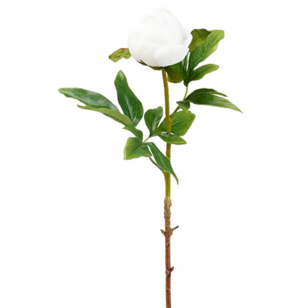 PEONY BUD SPRAY 22" WHITE