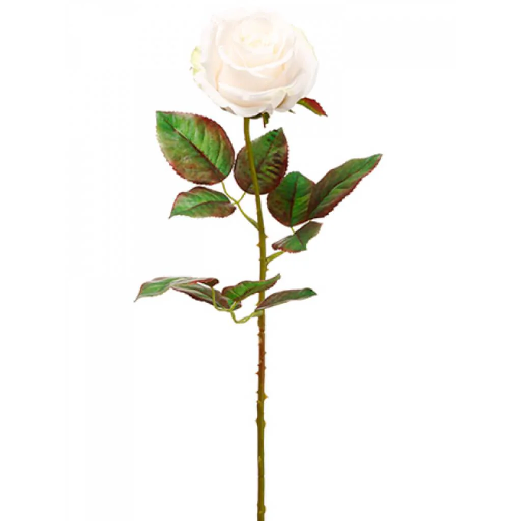 Ecuador Rose Spray 20.5" Blush