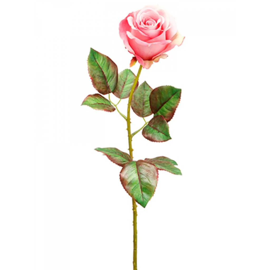 Ecuador Rose Spray 20.5" Beauty