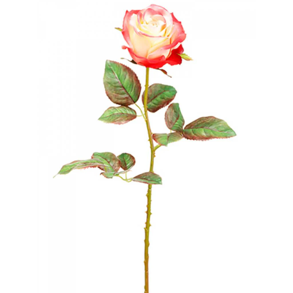 Ecuador Rose Spray 20.5" Coral