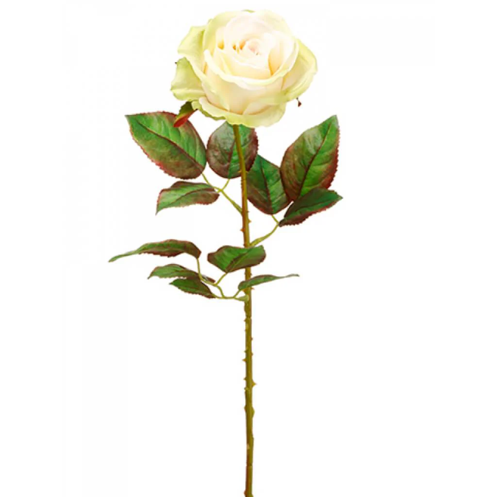 Ecuador Rose Spray 20.5" Green Blush