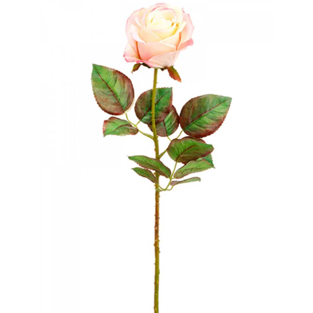 ECUADOR ROSE SPRAY 20.5" PEACH