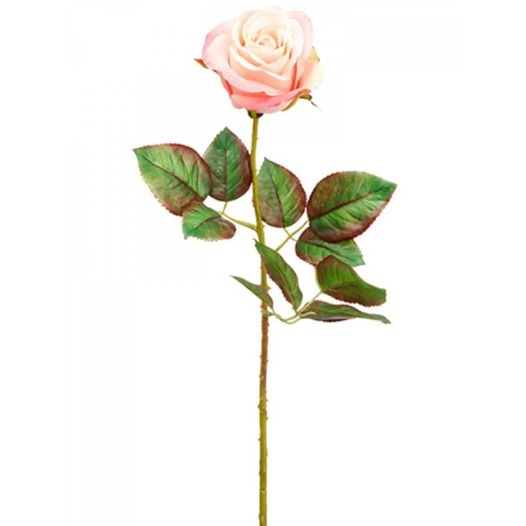 Ecuador Rose Spray 20.5" Pink