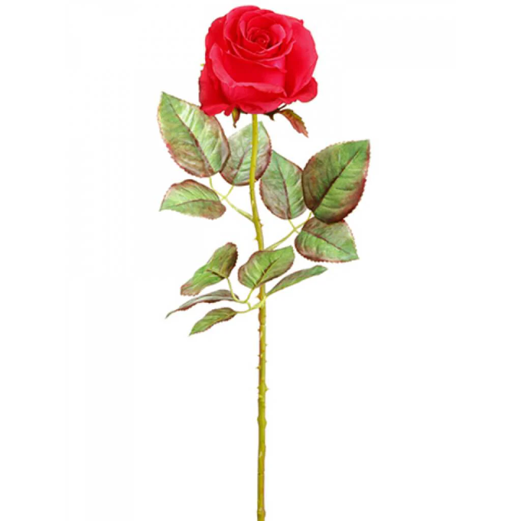 Ecuador Rose Spray 20.5" Red