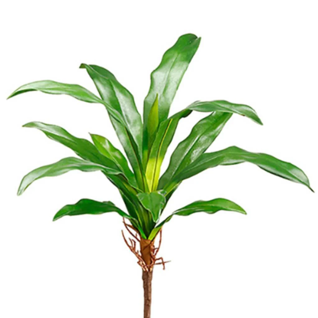 Bromeliad Leaf Spray 16" Green