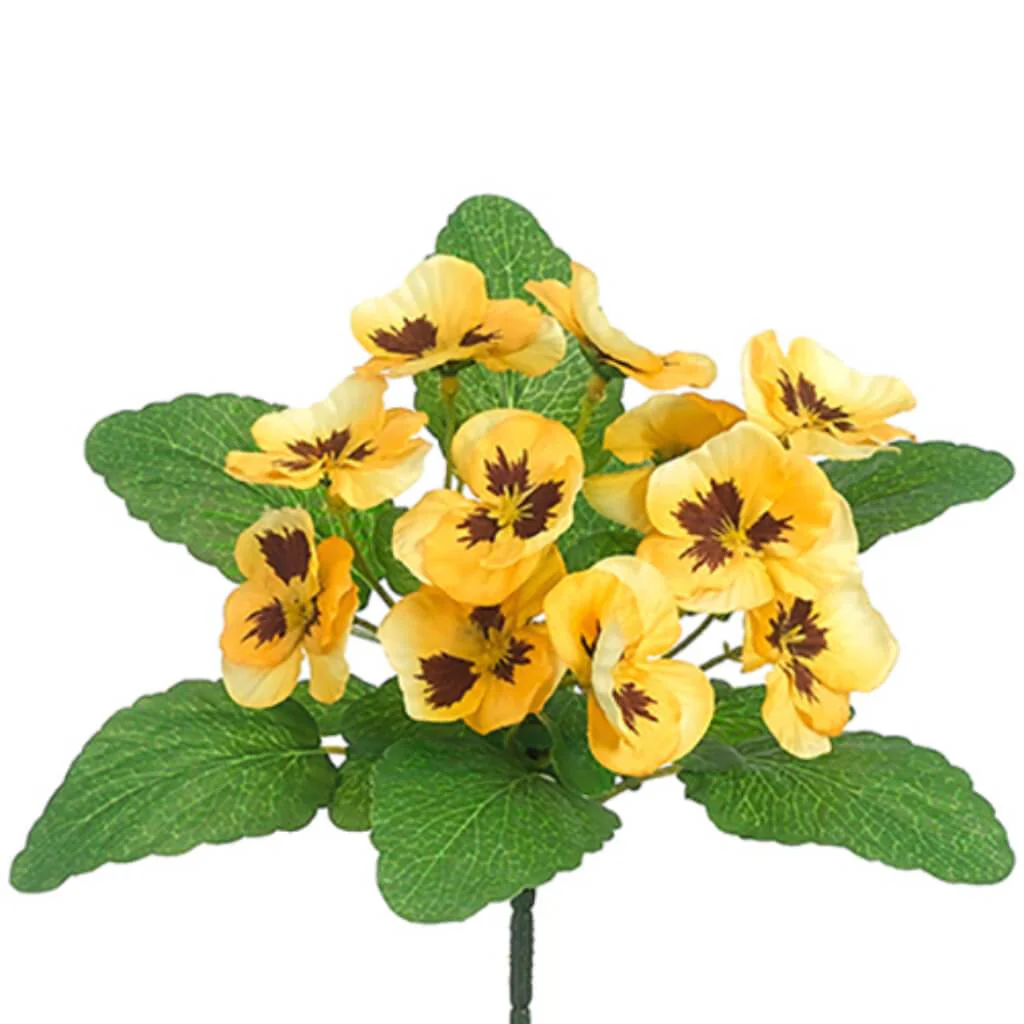 Pansy Bush 10" Ye