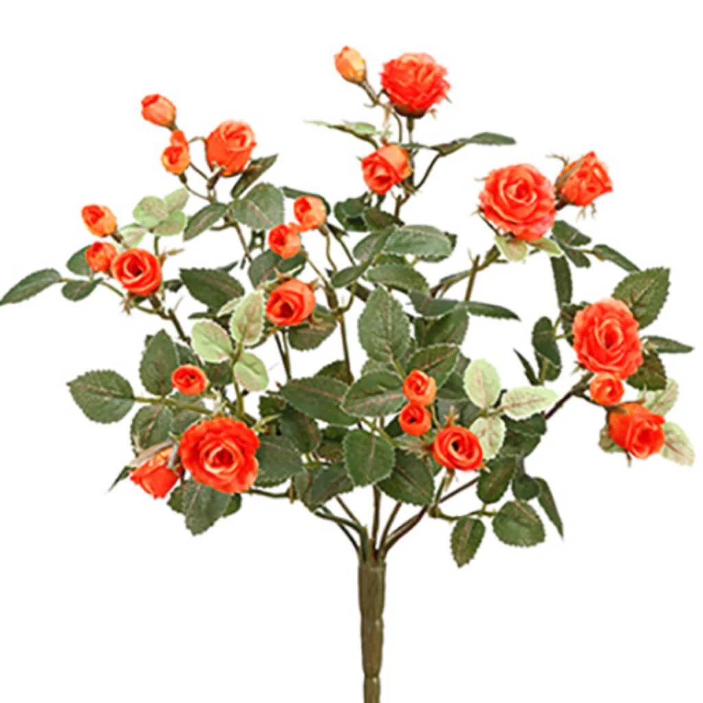 Mini Rose Bush X8 12.5" Or