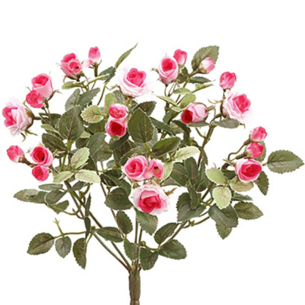 Mini Rose Bush X8 12.5" Pk