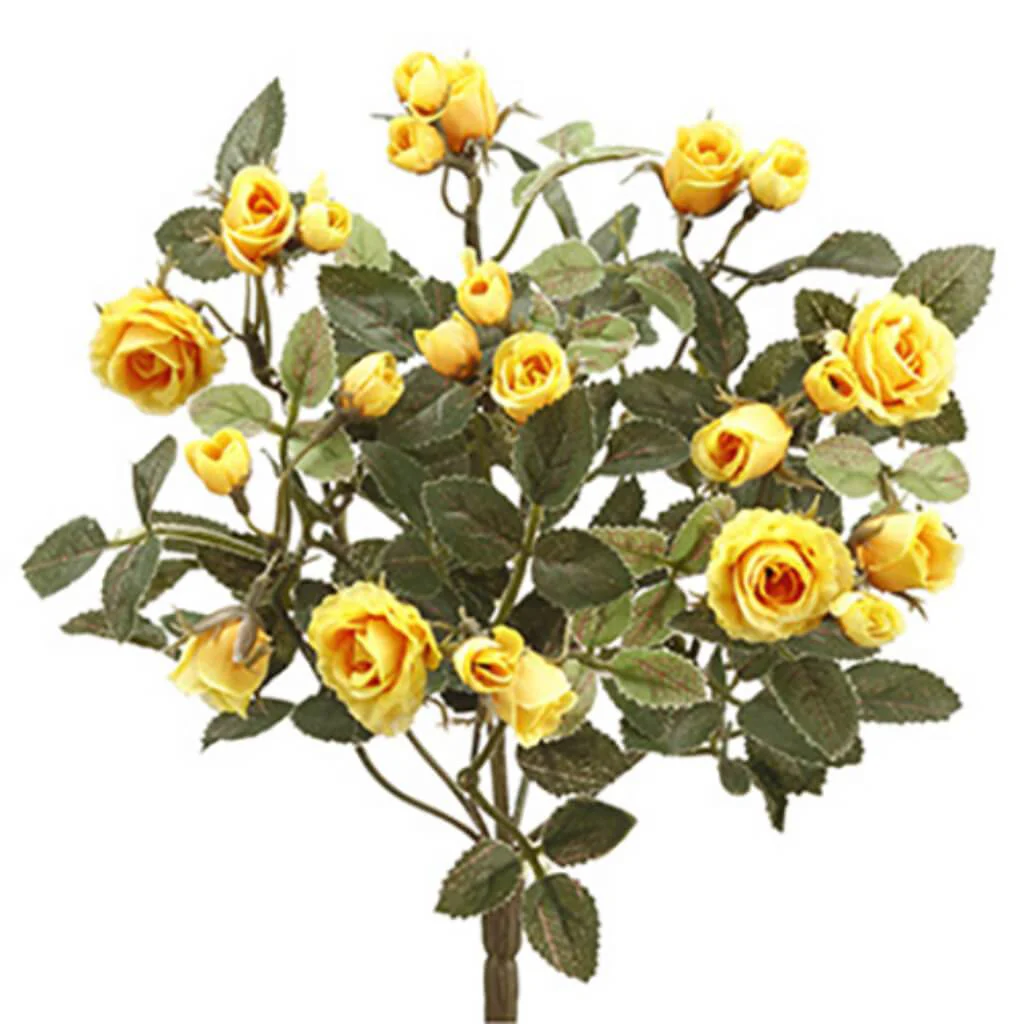 Mini Rose Bush X8 12.5" Ye