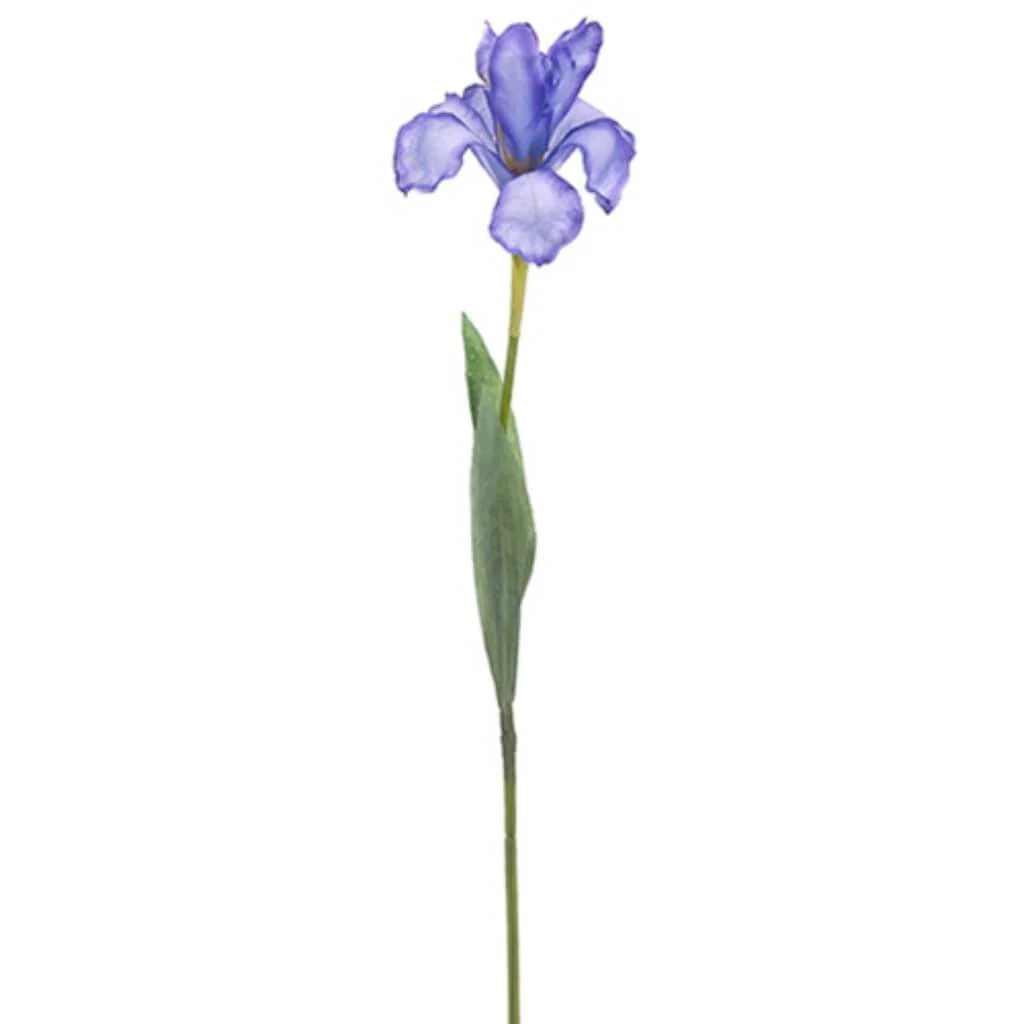 Iris Spray 24" Lavender