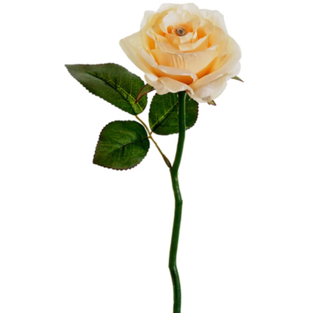 Diamond Small Rose Stem 12" Be