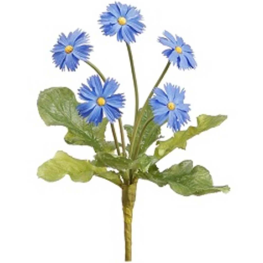 Mini Daisy Bush 8" Bl