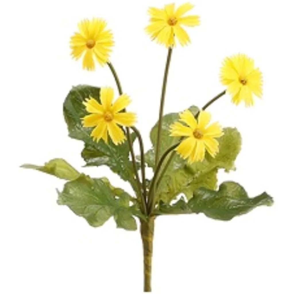 Mini Daisy Bush 8" Ye