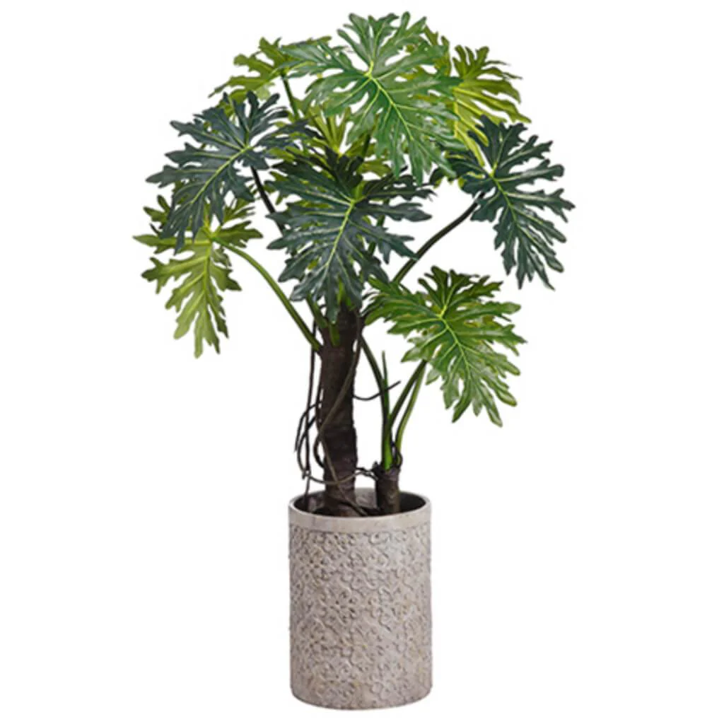 Eva Plume Split Leaf Pl.(P) 71"