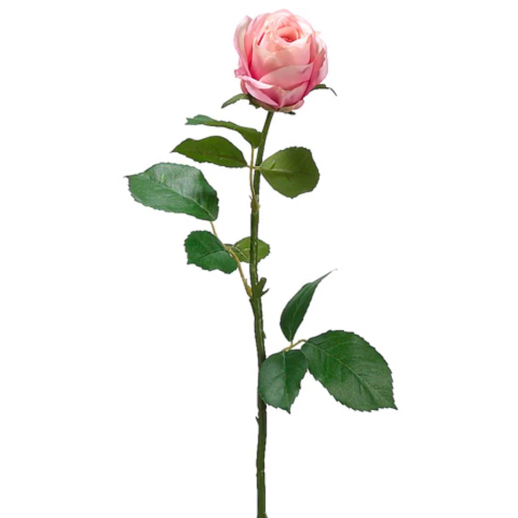 Cottage Rose Bud Spray 26in  Twotone Rose