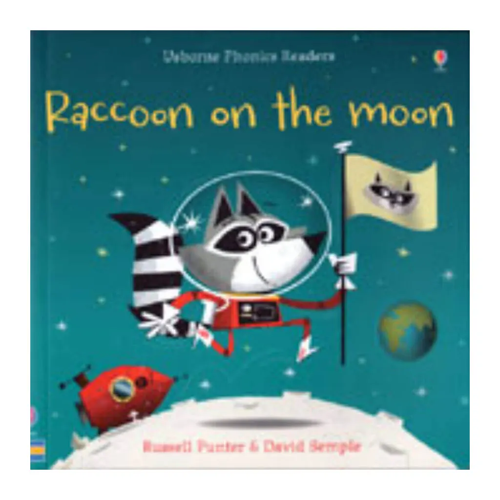 Raccoon On The Moon