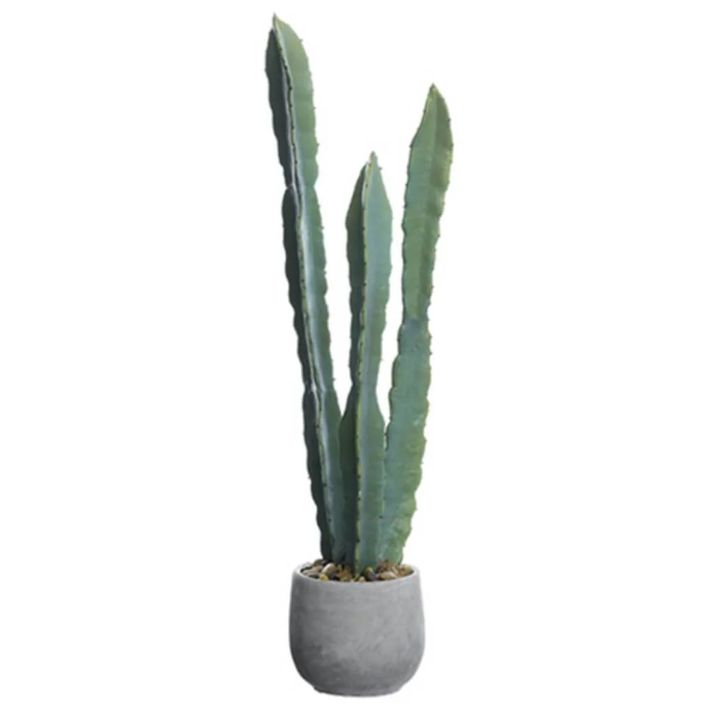 Column Cactus In Cement Pot 25"